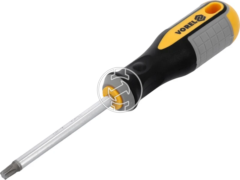 Kép: Torx csavarhuzo T40 x 100 mm.webp