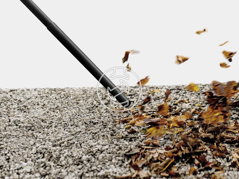 Kép: WD 4 S GoFurther EU.webp