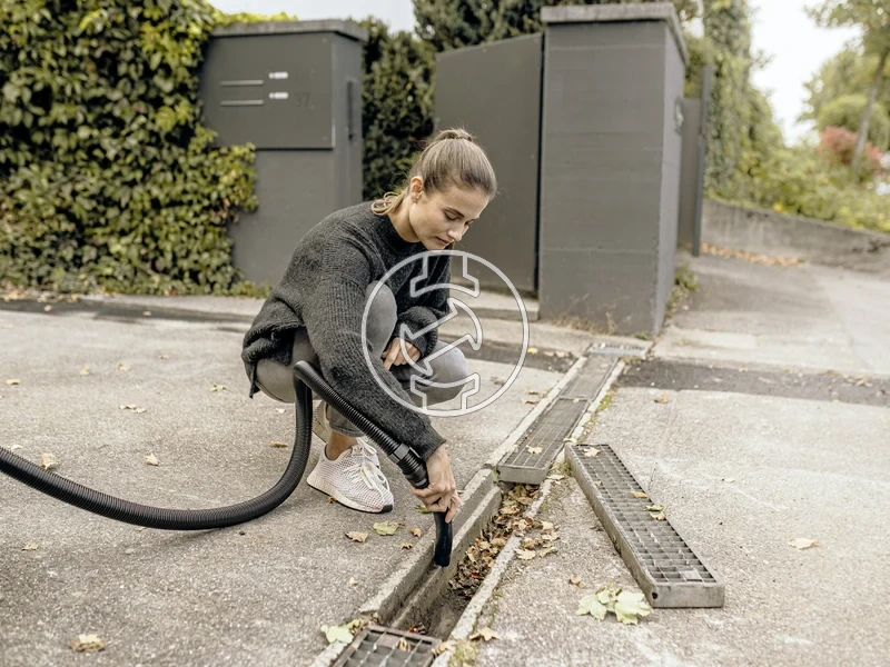 Kép: WD 4 S GoFurther EU.webp