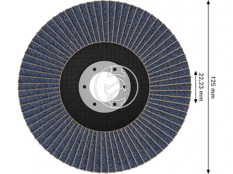 Kép: X451 Legyezotarcsa 125 T29 G60 1db.webp