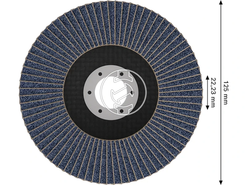 Kép: X451 Legyezotarcsa 125 T29 G80 1db.webp