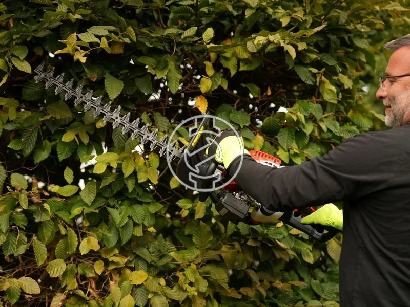 Kép: Yato YT-84797 masina de tuns gard viu cu motor pe benzina 254 cm3 60 cm.webp