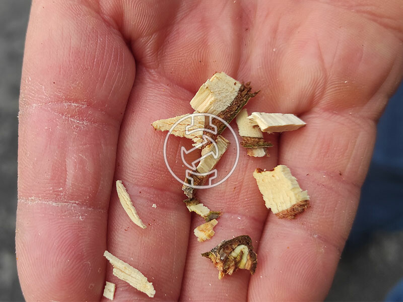 Ztrust BA776B benzinmotoros ágaprítógép